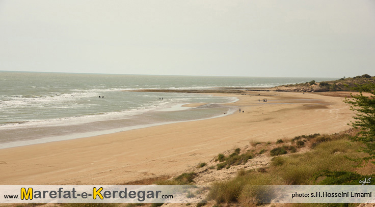 گردشگری گناوه گردشگری گناوه