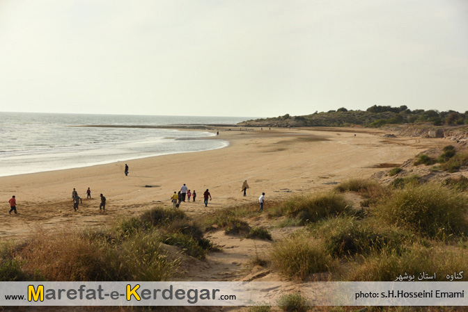 ساحل مرجانی استان بوشهر ساحل مرجانی استان بوشهر