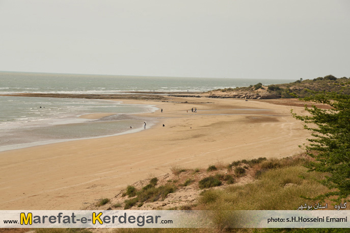 گردشگری گناوه گردشگری گناوه