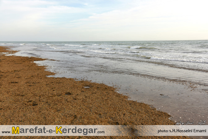 دیدنی های استان بوشهر دیدنی های استان بوشهر