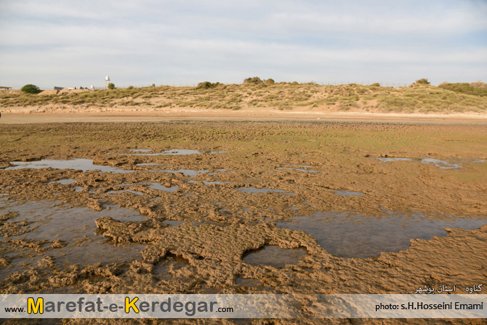 جاذبه های طبیعی استان بوشهر جاذبه های طبیعی استان بوشهر