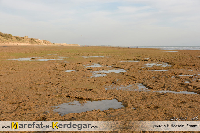 جاذبه های طبیعی ایران جاذبه های طبیعی ایران