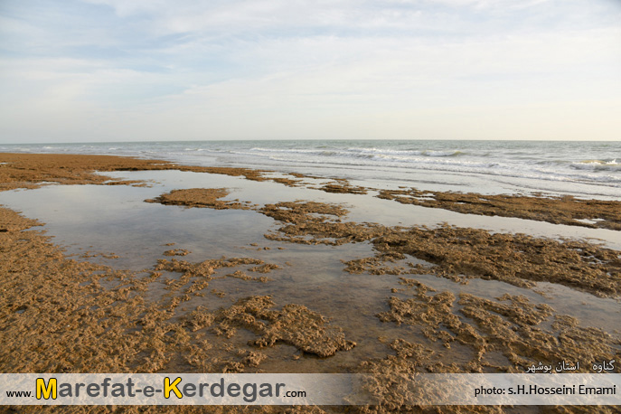 جاذبه های گردشگری ایران جاذبه های گردشگری ایران