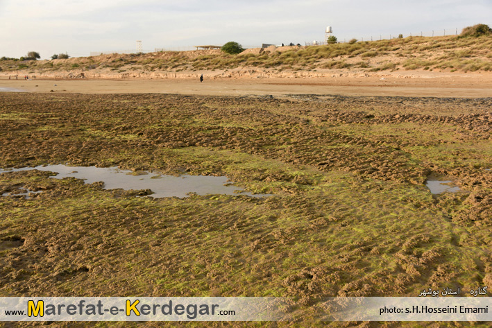 جاذبه های گردشگری ایران جاذبه های گردشگری ایران