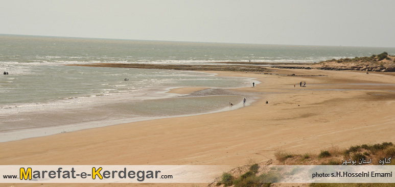 گردشگری بندر گناوه گردشگری بندر گناوه