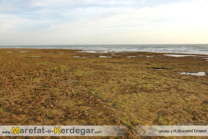 اماکن دیدنی استان بوشهر اماکن دیدنی استان بوشهر