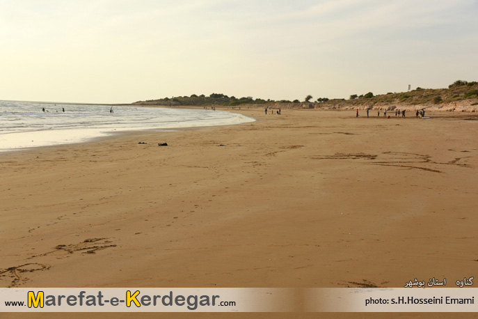 اماکن دیدنی بندر گناوه اماکن دیدنی گناوه