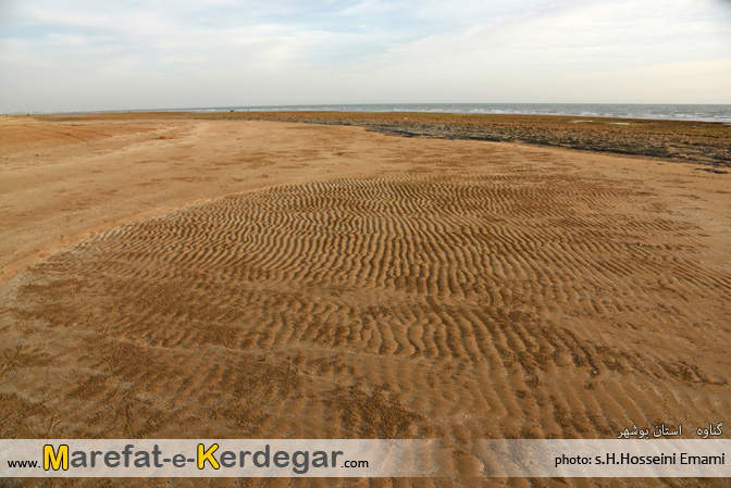 اماکن دیدنی بندر گناوه اماکن دیدنی گناوه