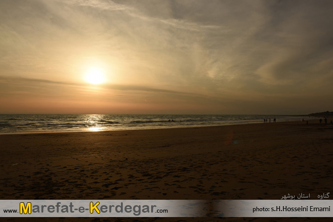 ساحل جنوب ساحل جنوب