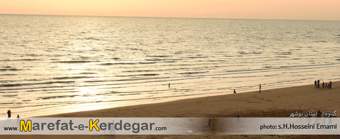 غروب ساحل استان بوشهر غروب ساحل استان بوشهر