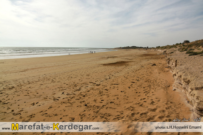 گردشگری استان بوشهر گردشگری استان بوشهر