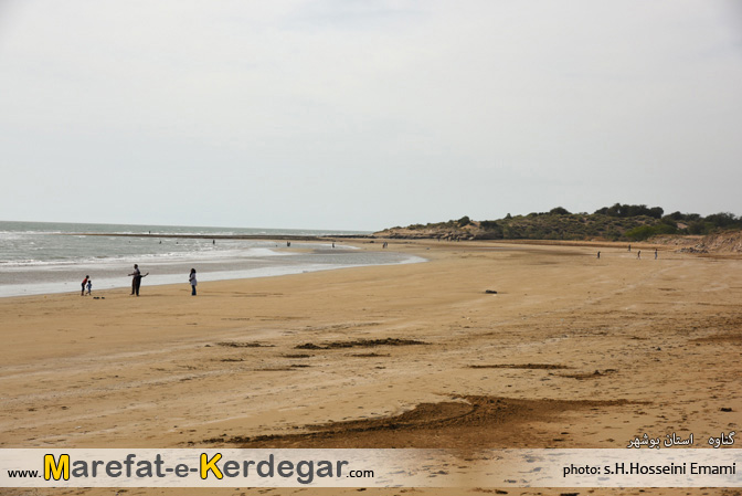 طبیعت گناوه طبیعت گناوه