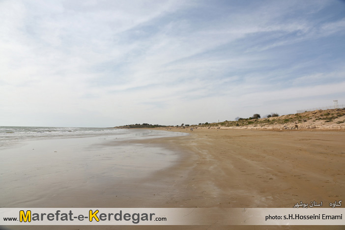 طبیعت گناوه طبیعت گناوه