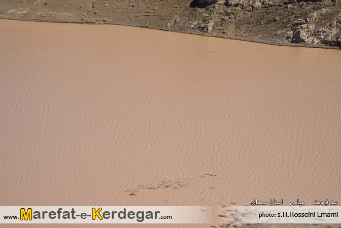 طبیعت میامی طبیعت میامی