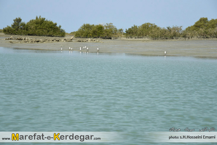 جاذبه های گردشگری سیریک جاذبه های گردشگری سیریک