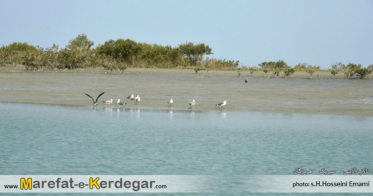 عکاسی در سیریک عکاسی در سیریک