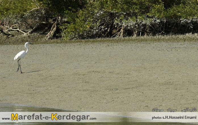 جاهای دیدنی استان هرمزگان جاهای دیدنی استان هرمزگان