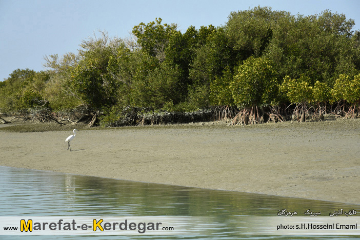 اماکن دیدنی سیریک اماکن دیدنی سیریک