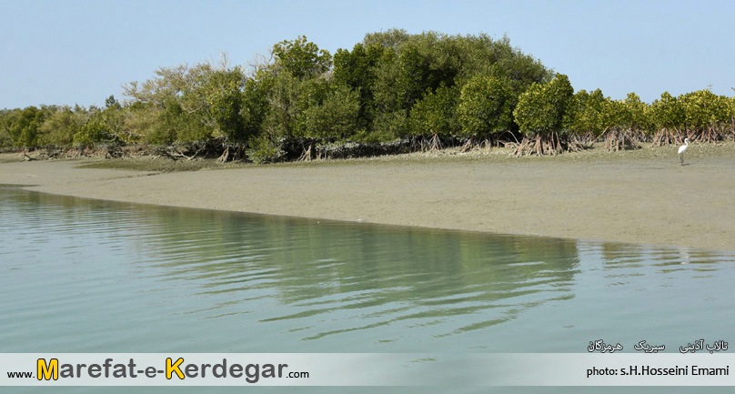 اماکن دیدنی سیریک اماکن دیدنی سیریک