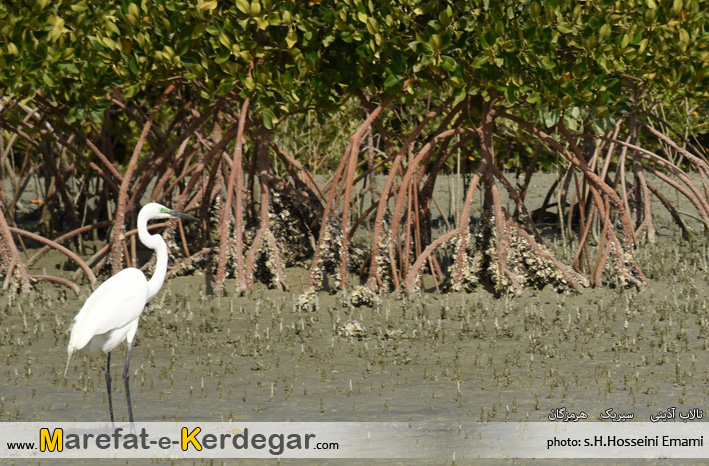 اماکن دیدنی هرمزگان اماکن دیدنی هرمزگان