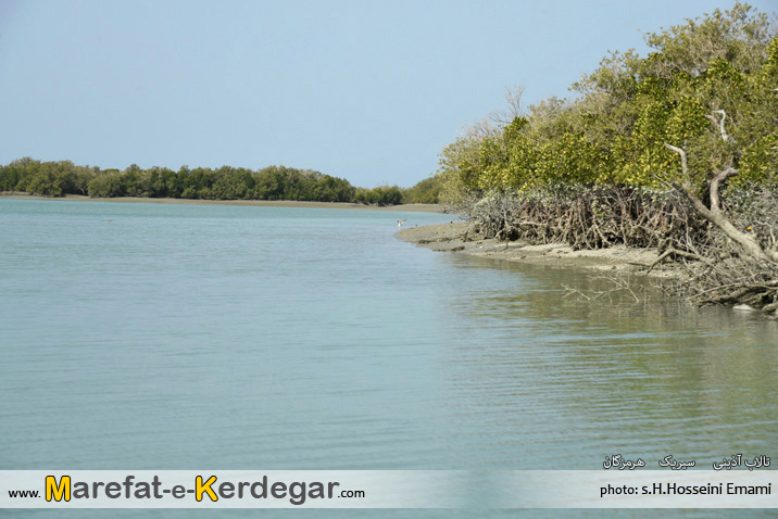 تالاب آذینی تالاب آذینی