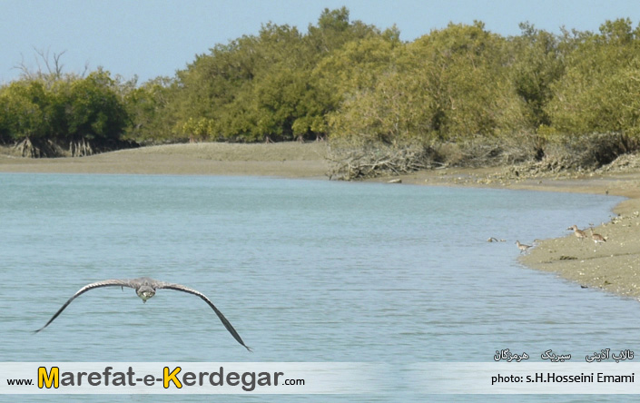 تالاب آذینی تالاب آذینی