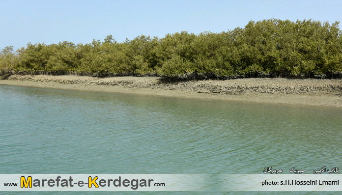 تالاب آذینی تالاب آذینی