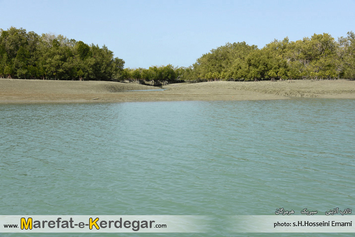 تالاب آذینی تالاب آذینی