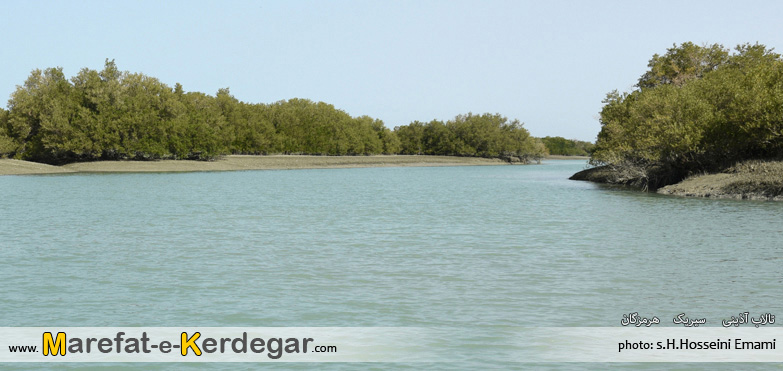 تالاب بین المللی آذینی تالاب بین المللی آذینی