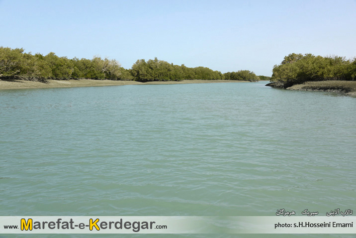 تالاب بین المللی آذینی تالاب بین المللی آذینی