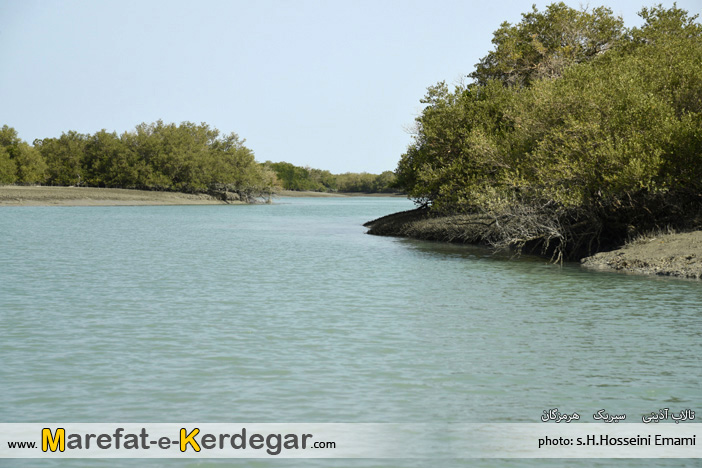 تالاب بین المللی آذینی تالاب بین المللی آذینی