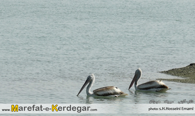 گردشگری سیریک گردشگری سیریک