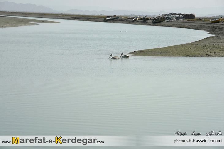 گردشگری سیریک گردشگری سیریک