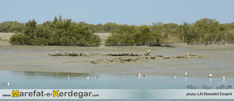 طبیعت سیریک طبیعت سیریک