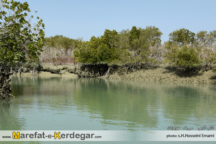 تالاب های استان هرمزگان تالاب های استان هرمزگان