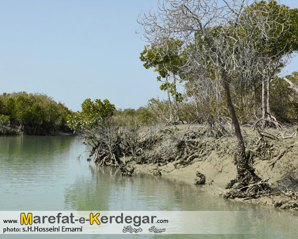 تالاب های هرمزگان تالاب های هرمزگان