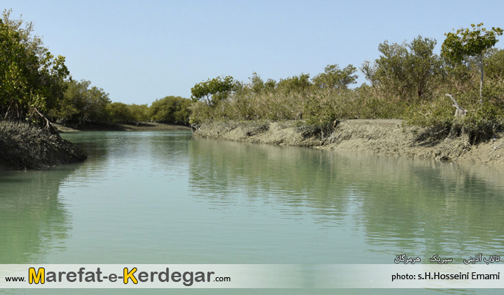 تالاب های ایران تالاب های ایران