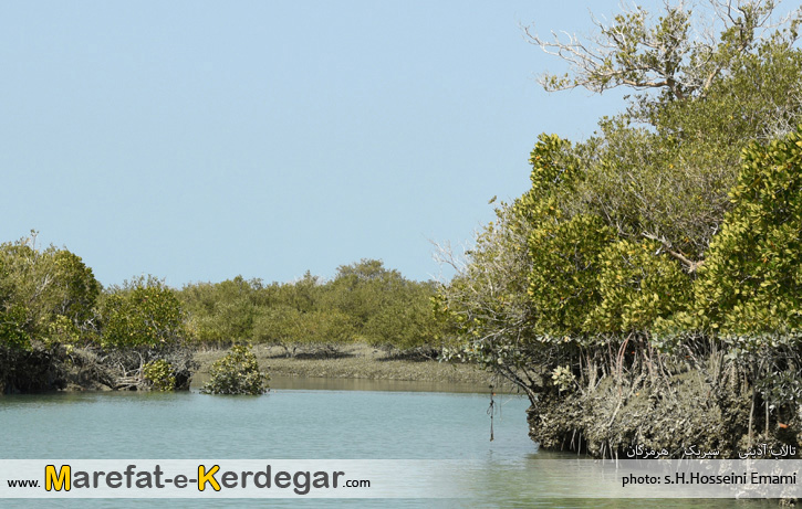 تالاب های ایران تالاب های ایران