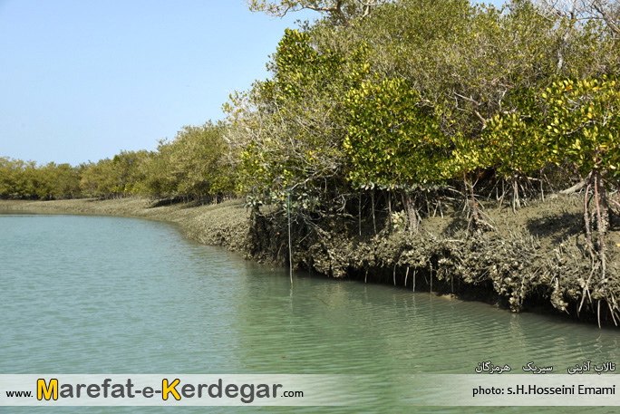 تالاب آذینی تالاب آذینی