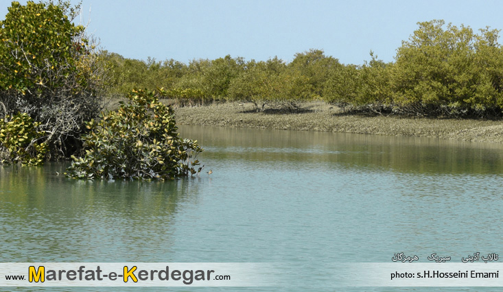تالاب های جنوب تالاب های جنوب