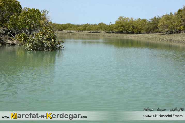 تالاب های جنوب تالاب های جنوب