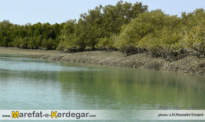 خورهای ایران خورهای ایران