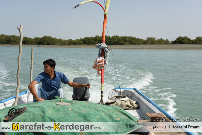 جنگل های حرای استان هرمزگان جنگل های حرای استان هرمزگان