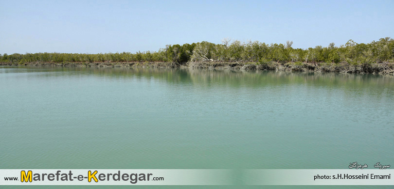 جنگل های حرای هرمزگان جنگل های حرای هرمزگان