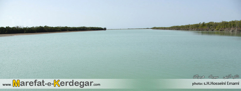 جنگل های حرای ایران جنگل های حرای ایران