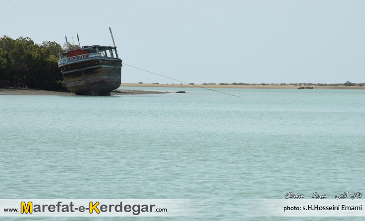 جنگل های حرای ایران جنگل های حرای ایران