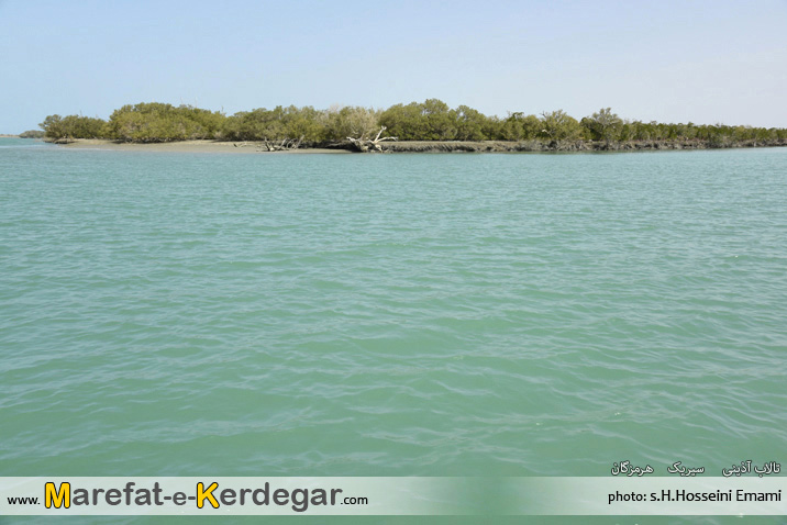 جنگل حرا جنگل حرا