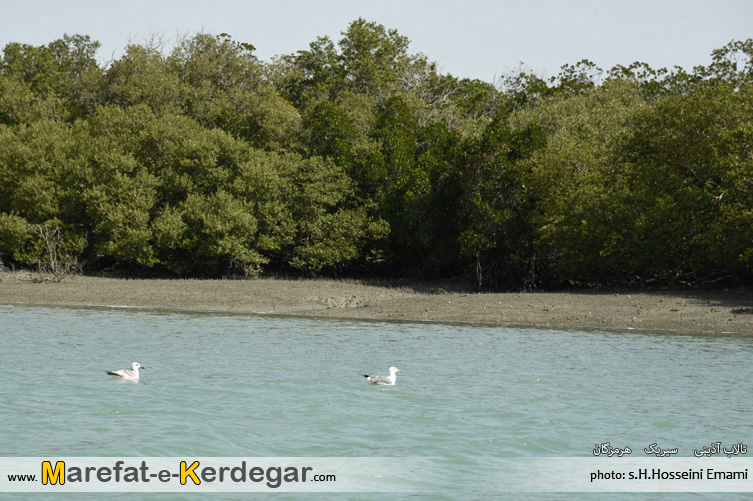 صنعت توریسم استان هرمزگان صنعت توریسم استان هرمزگان