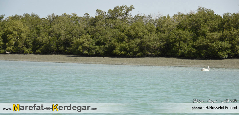 جاذبه های توریستی سیریک جاذبه های توریستی سیریک