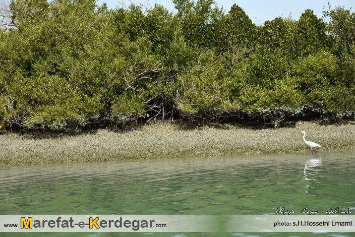 اماکن گردشگری سیریک اماکن گردشگری سیریک